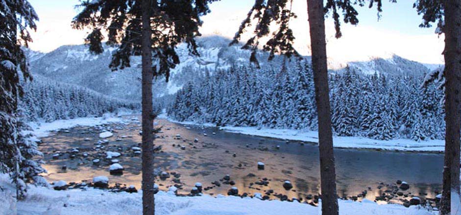 Chilkoot River in Winter